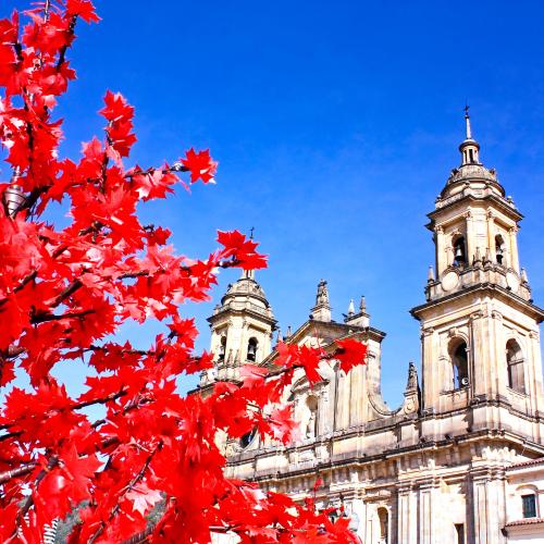 
Bogotá, Colombia
