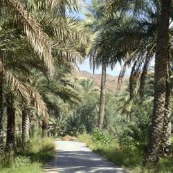 Al Hamra