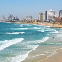 Tel Aviv 4 condouri