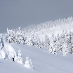 Kopaonik 48 of the cottages