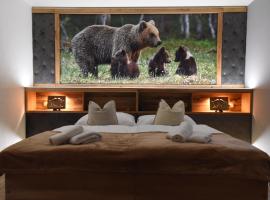 PENZION U MEDVĚDA, hotel v Frýdku Místku