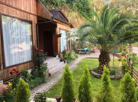 Chalet Ochos Qokhi, hotel v destinaci Kvariati