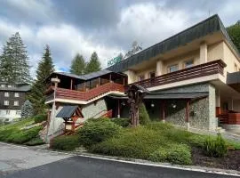 Hotel Arnika