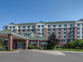Hilton Garden Inn Detroit Metro Airport, hotel near Detroit Metro Airport - DTW, Romulus