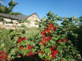At 2 donkeys - Country life with a large kitchen, hotel v destinaci Svitavy