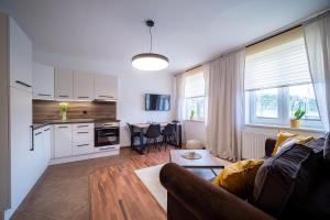 Kuchyň nebo kuchyňský kout v ubytování Apartmán U řeky