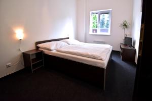Postel nebo postele na pokoji v ubytování Apartmány & Kemp Sázavský ostrov