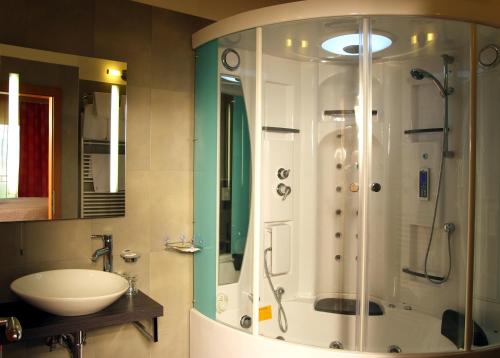 a bathroom with a shower and a sink at Hotel Vila Emei in Maribor