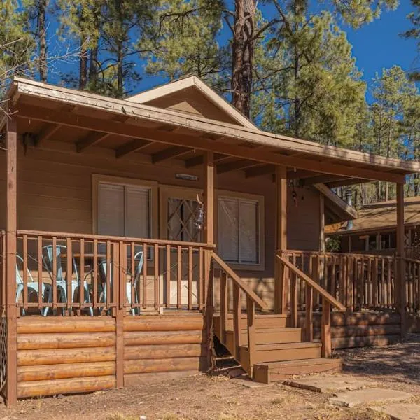 Hideaway forest cabin 9 Squirrels Den, hotel in Payson