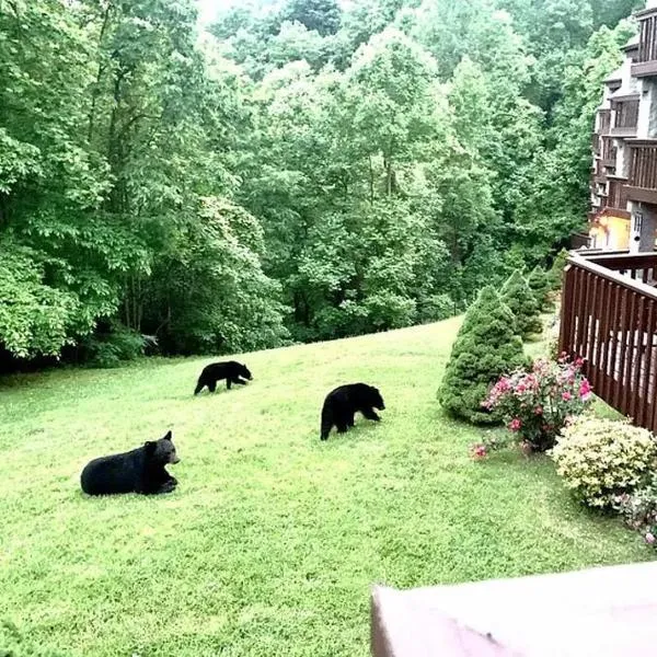 VIEWS & FIREPLACE - Minutes to Gburg and Ober - Condo, hotel in Gatlinburg