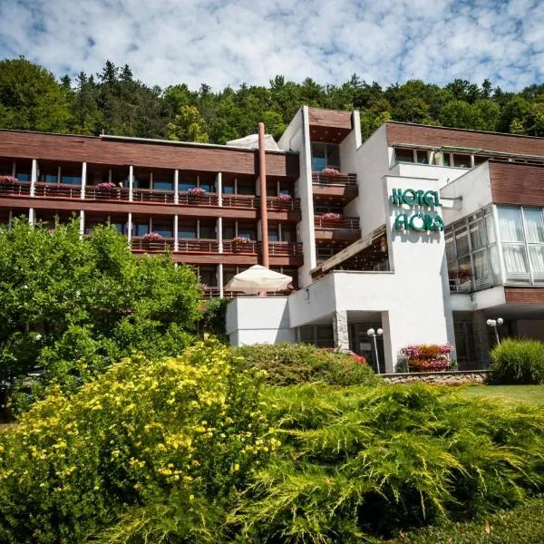 Hotel Flóra, hotel v Trenčianských Teplicích