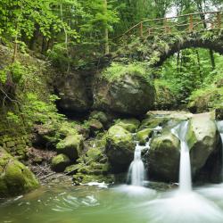 Little Switzerland 15 locuri de glamping