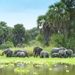 Selous Game Reserve