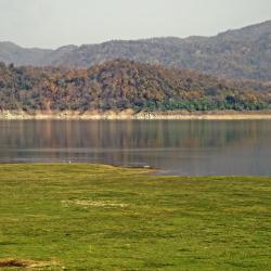 Jim Corbett National Park 3 guest houses