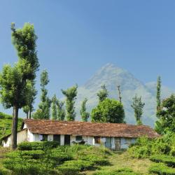 Wayanad 37 guest houses
