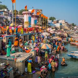 Uttar Pradesh 985 guest houses